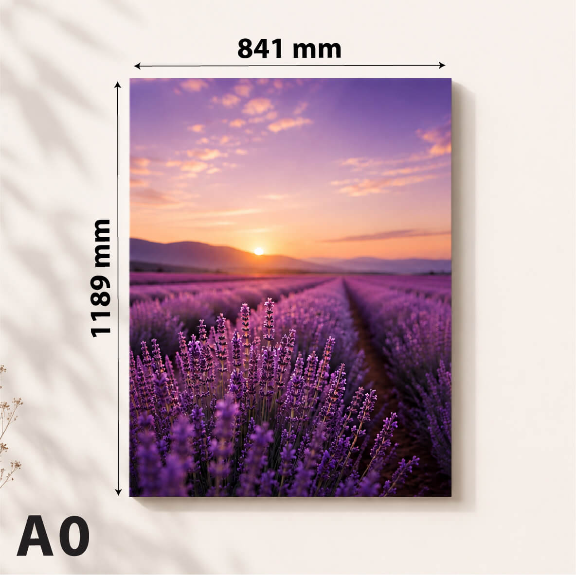 A0 fotokapad